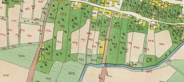 1849 Cadastral Map